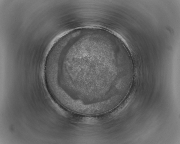 X0000113341379200910060949