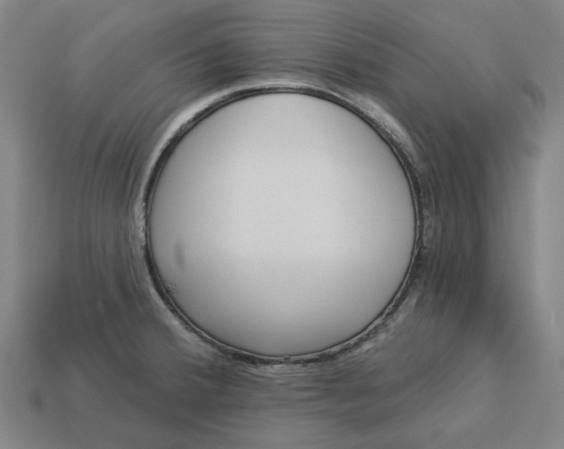 X0000113341380200910060949