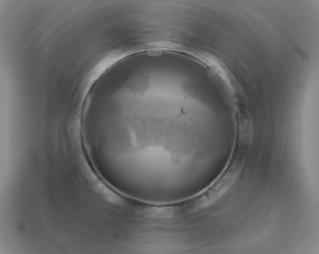 X0000113341381200910060949