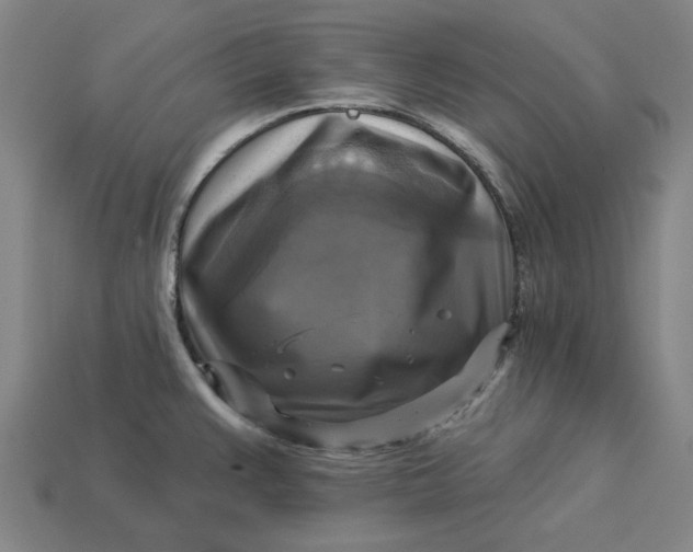 X0000113341383200910060948