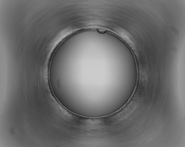 X0000113341384200910060948