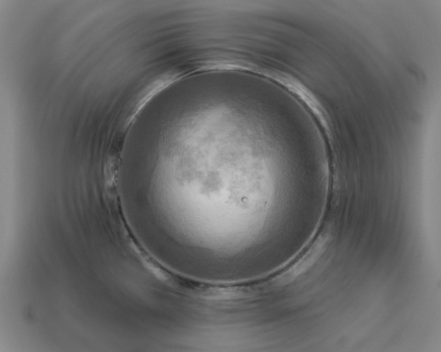 X0000113341385200910060948