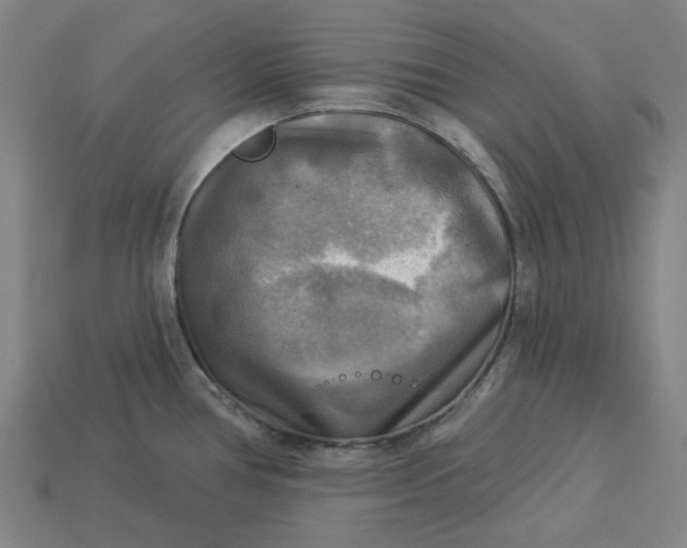 X0000113341386200910060948