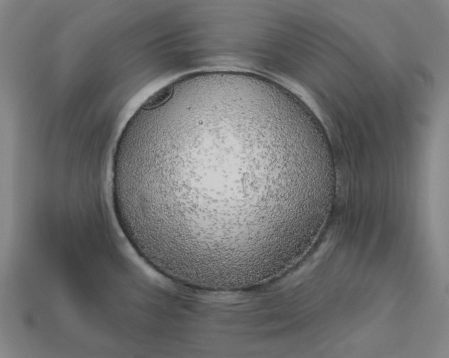 X0000113341387200910060948