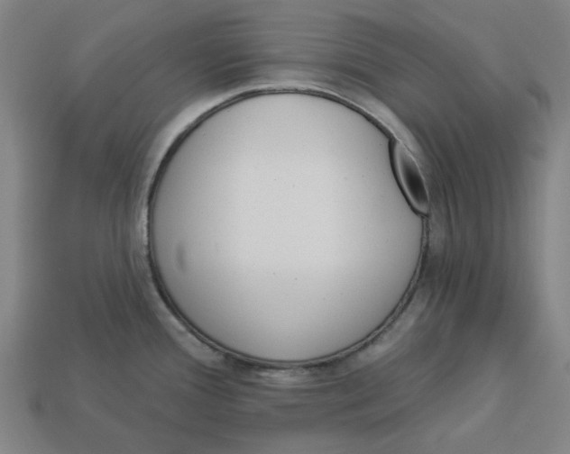 X0000113341388200910060948