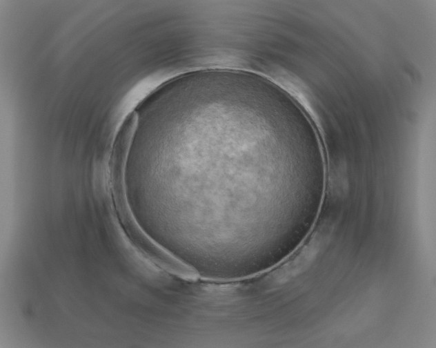 X0000113341389200910060948