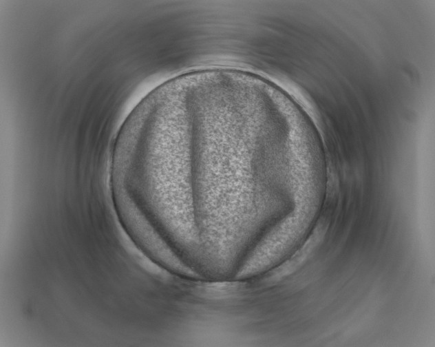 X0000113341390200910060948