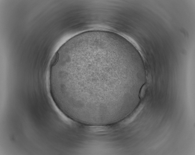 X0000113341391200910060948