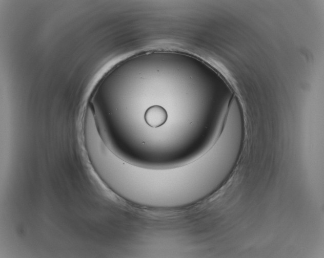 X0000113341392200910060948