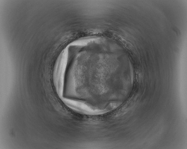 X0000113341393200910060948