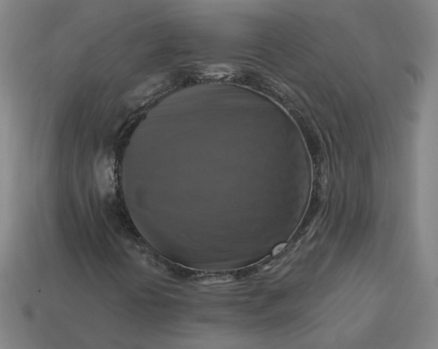 X0000113341394200910060948