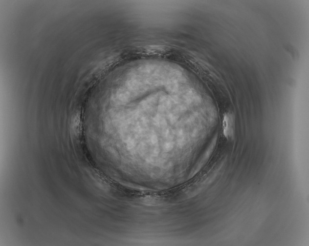 X0000113341395200910060948