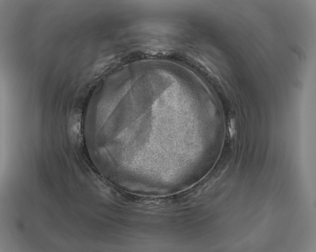 X0000113341396200910060948