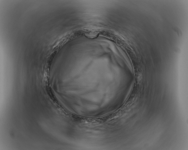 X0000113341397200910060948