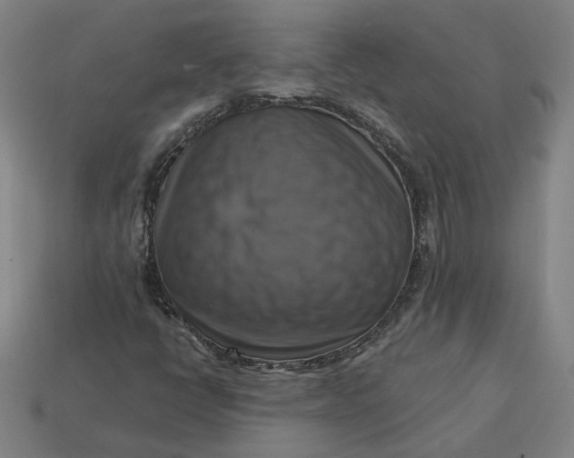 X0000113341398200910060948