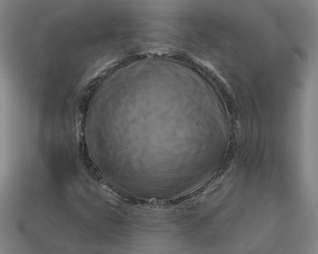 X0000113341399200910060948