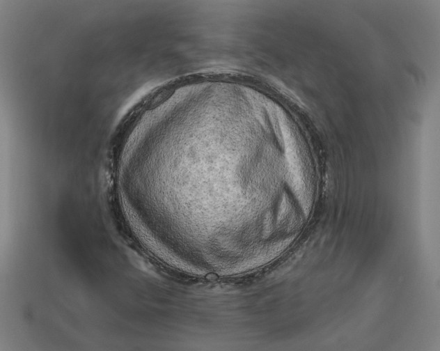 X0000113341400200910060948