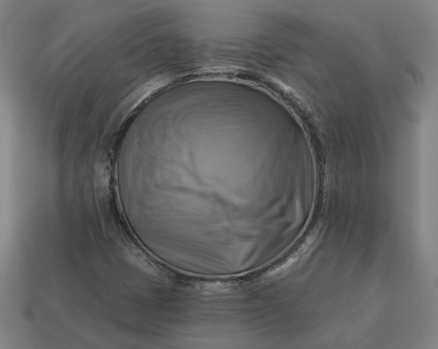 X0000113341401200910060948