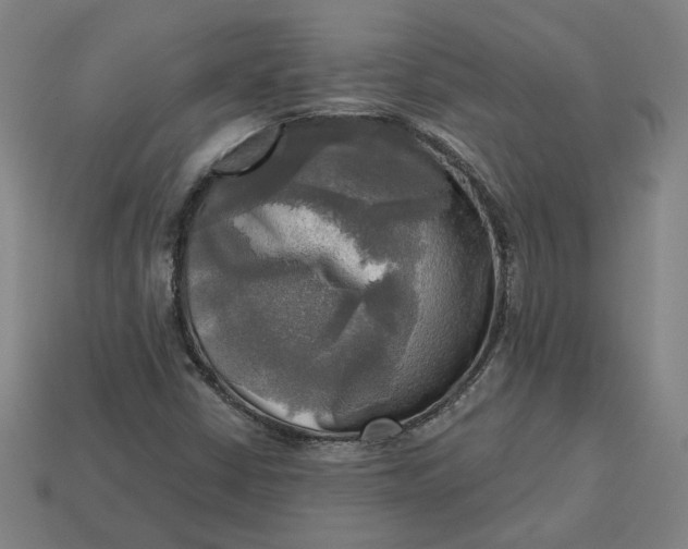 X0000113341402200910060948