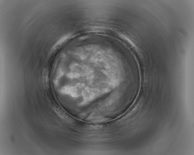 X0000113341403200910060948