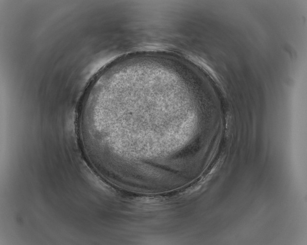 X0000113341404200910060948