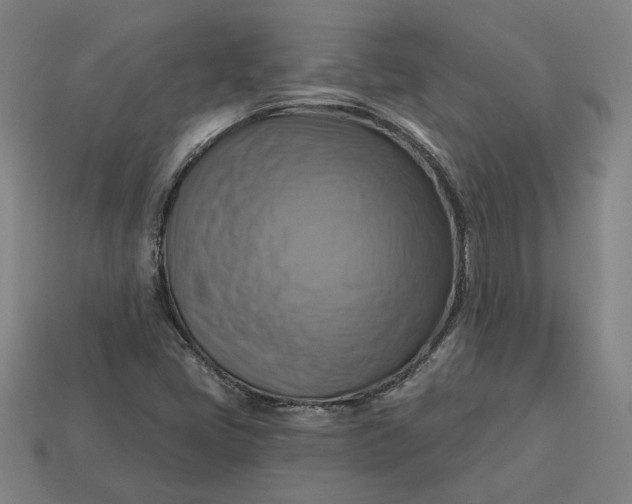 X0000113341405200910060948