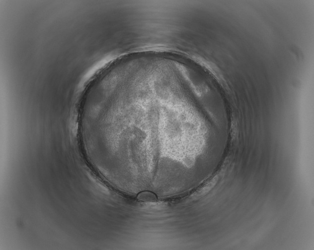 X0000113341406200910060948