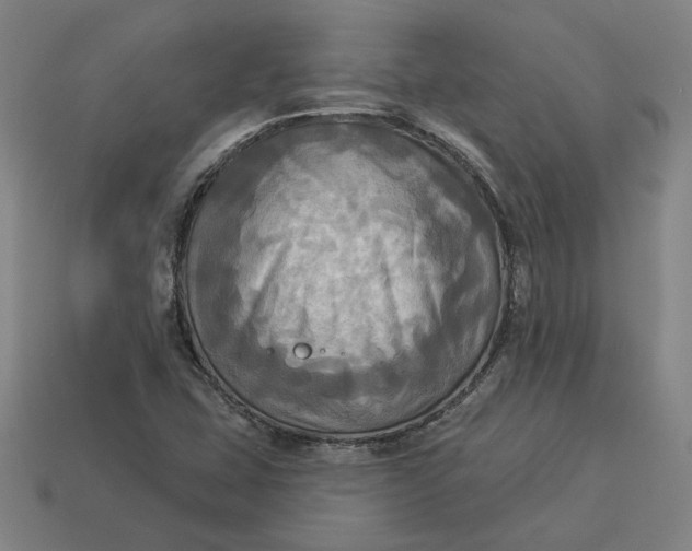 X0000113341407200910060948