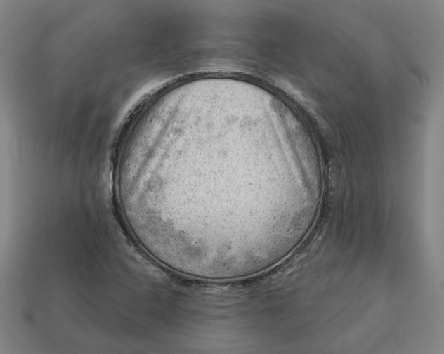 X0000113341408200910060948