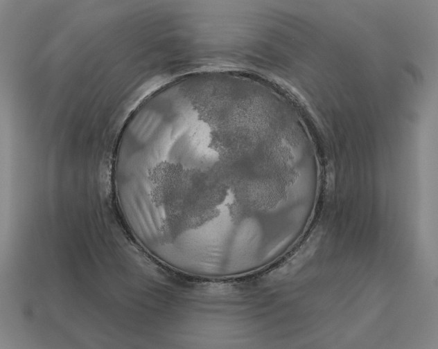 X0000113341409200910060948