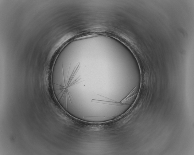 X0000113341410200910060948