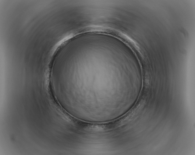 X0000113341411200910060948