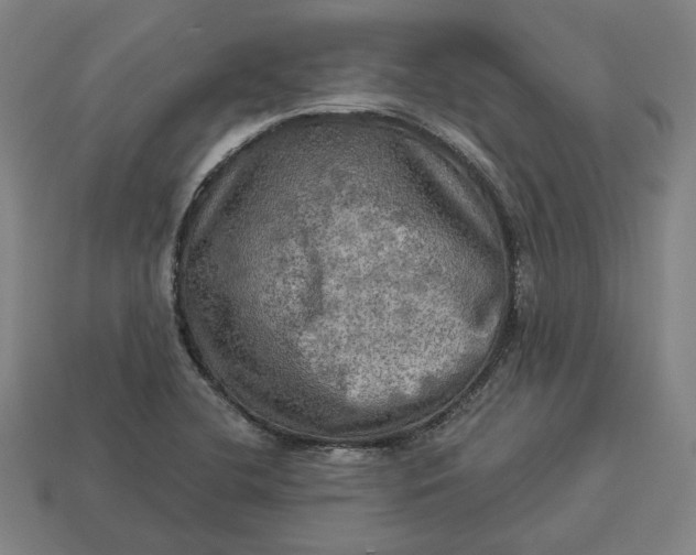 X0000113341412200910060948