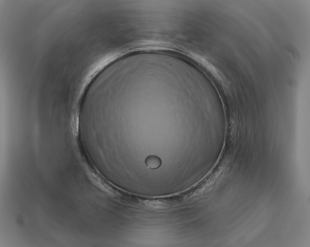 X0000113341413200910060948