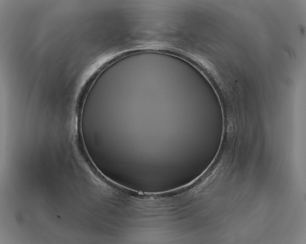 X0000113341414200910060948