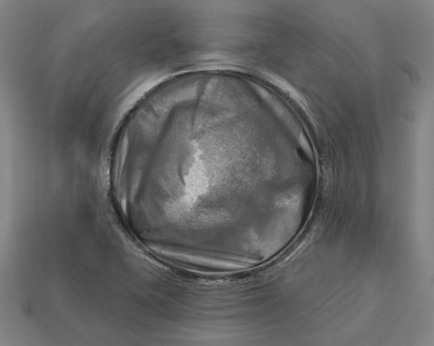 X0000113341415200910060948