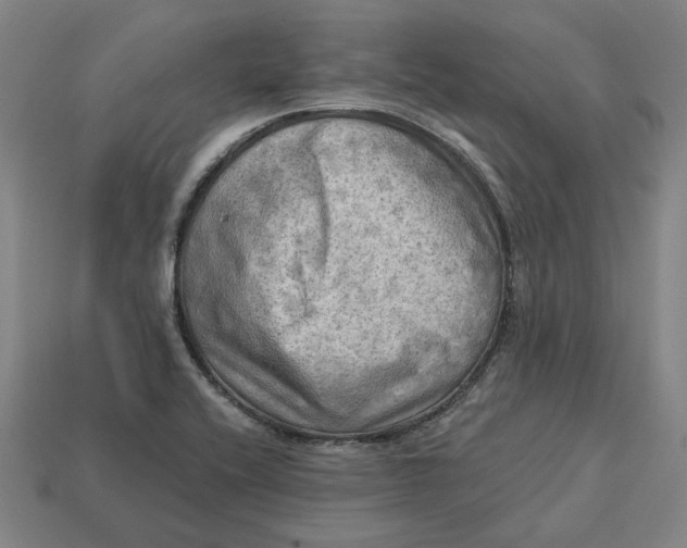 X0000113341416200910060948