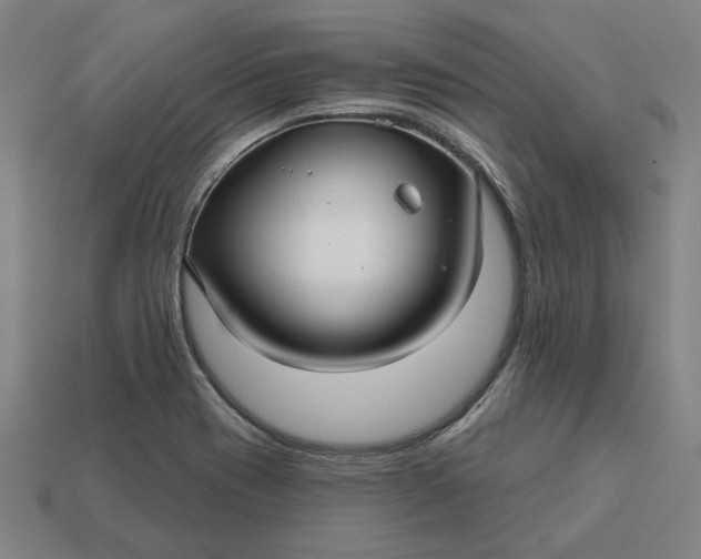 X0000113341417200910060948