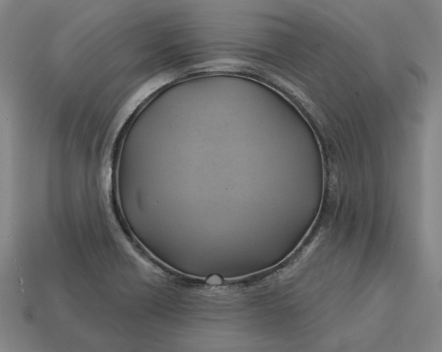 X0000113341418200910060948