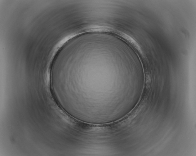 X0000113341419200910060948