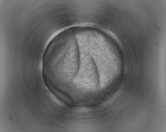 X0000113341420200910060948