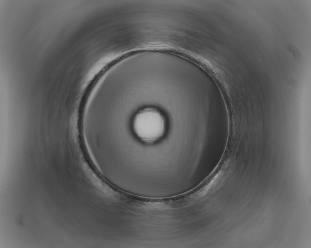 X0000113341422200910060948