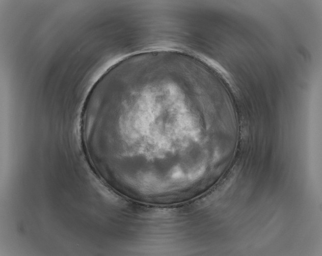 X0000113341423200910060948