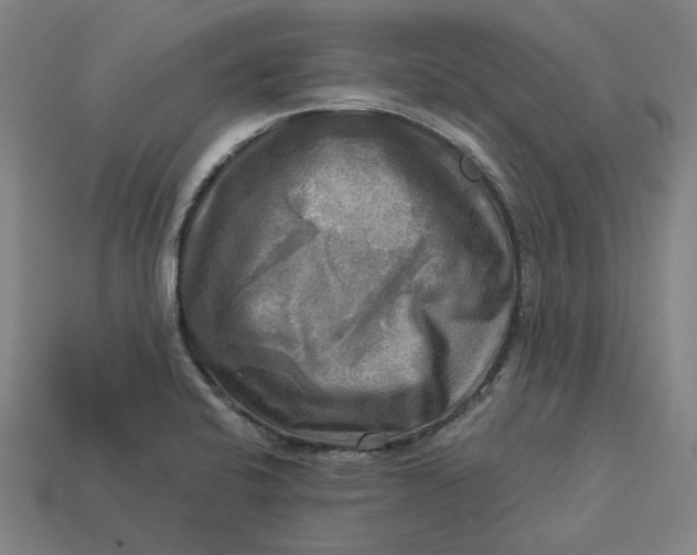 X0000113341424200910060948