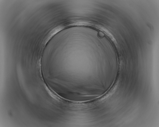 X0000113341425200910060948