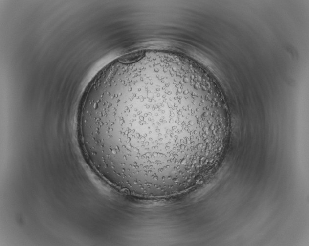 X0000113341426200910060948