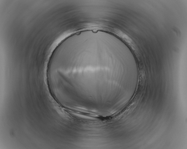 X0000113341427200910060948