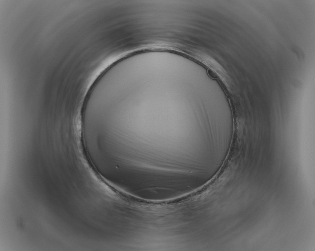 X0000113341428200910060948