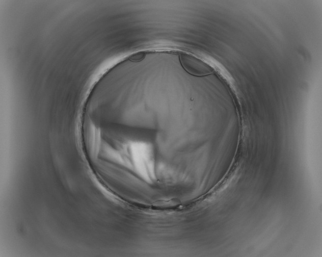 X0000113341429200910060948