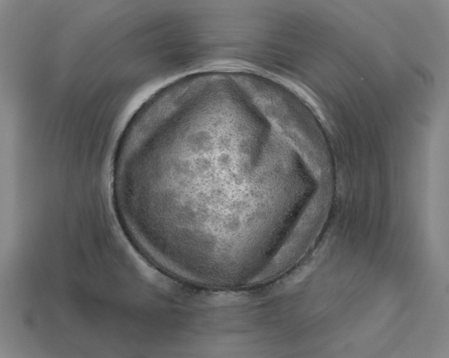 X0000113341430200910060948